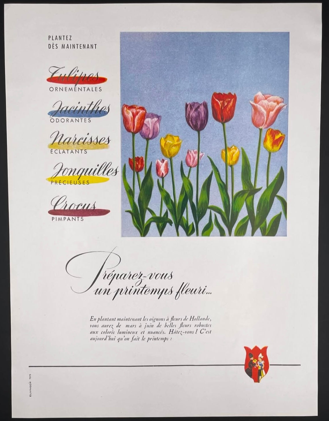 Publicité - Divers -Tulipes -1955
